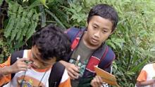 Forest Education